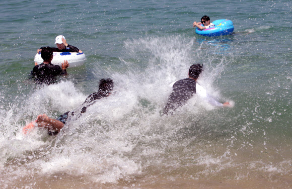 바닷물 속으로 폭염 탈출