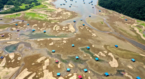 땅 위의 낚시용 좌대