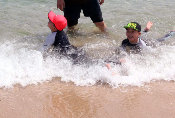 폭염에는 시원한 바닷물이 최고