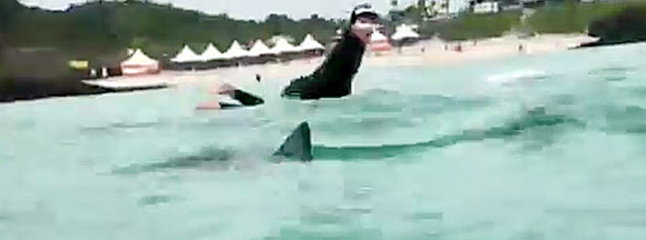 “상어 출현” 하마터면 큰일 날 뻔