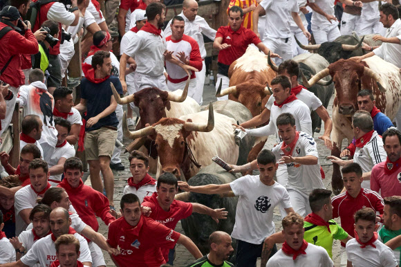 9일(현지시간) 스페인 북부 팜플로나에서 열린 ‘산 페르민 소몰이 축제’ 참가자들이 황소들을 피해 거리를 달려가고 있다. EPA 연합뉴스