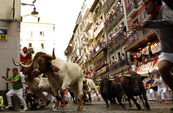 Revellers run next to fighting bulls from Cebada Gago ranch, during the running of the bulls at the San Fermin Festival, in Pamplona, northern Spain, Monday, July 8, 2019. Revellers from around the world flock to Pamplona every year to take part in the eight days of the running of the bulls. AP 연합뉴스