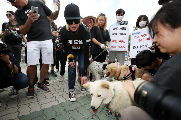 구조된 강아지 만난 킴 베이싱어