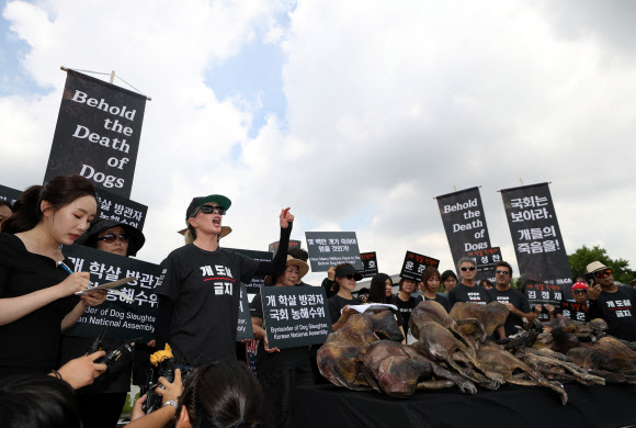 개고기 반대집회 참석한 킴 베이싱어