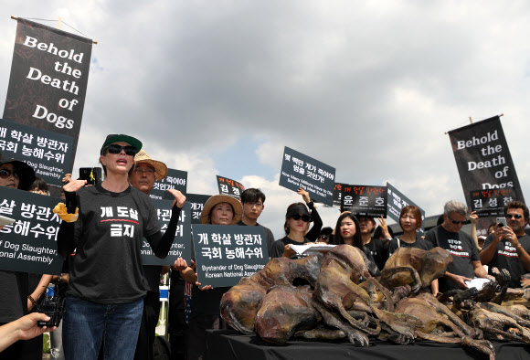개고기 반대집회 참석한 킴 베이싱어