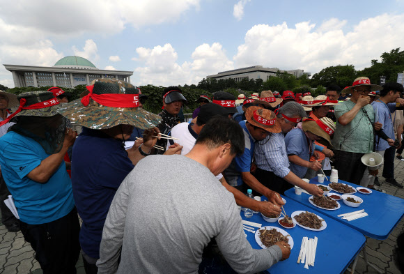 개고기 시식하는 집회 참가자들