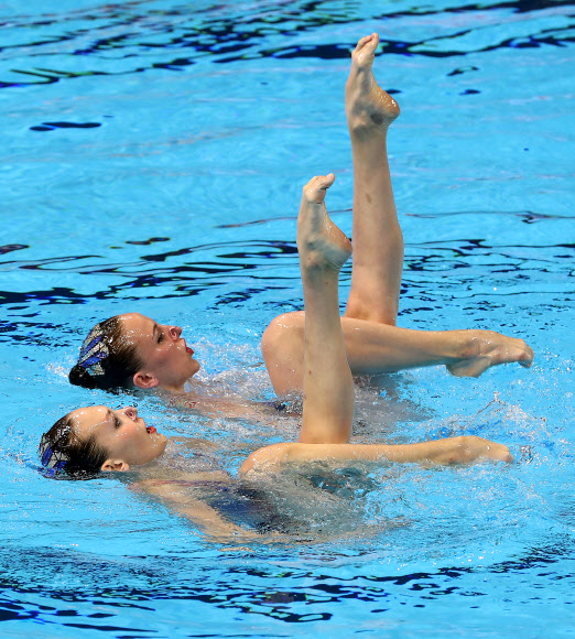 물위를 떠다니는 백조