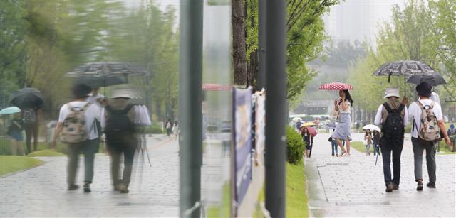 캠퍼스 적시는 장맛비