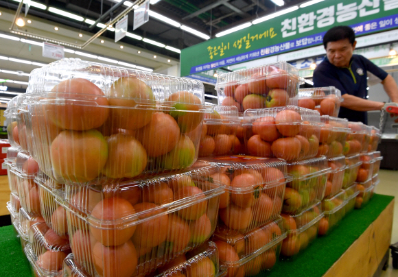 17일 서울 양재동 하나로마트에서 한 시민이 제철을 맞은 토마토를 고르고 있다. 2019.7.17 박지환기자 popocar@seoul.co.kr