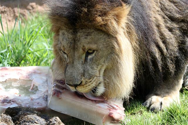 ‘어이쿠 시원해’