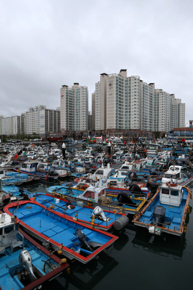 목포 북항으로 피항한 어선들