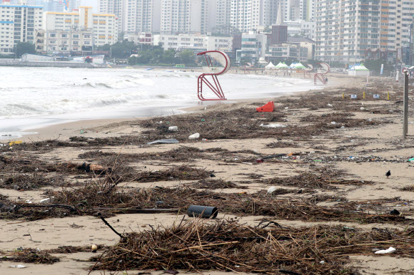 태풍 쓰레기 넘치는 해수욕장