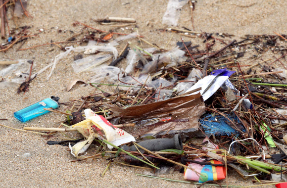 해변에 밀려온 플라스틱 쓰레기