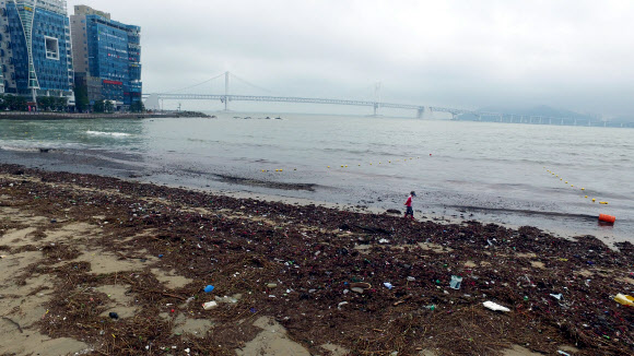 태풍이 남기고 간 쓰레기 몸살
