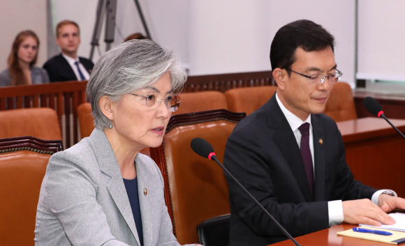 한일 현안 보고하는 강경화 장관