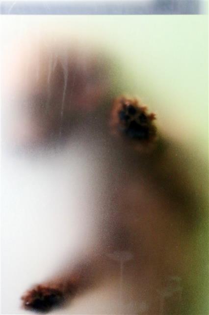 ‘주인님 언제 오시나요’