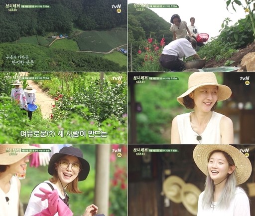 삼시세끼 산촌편  