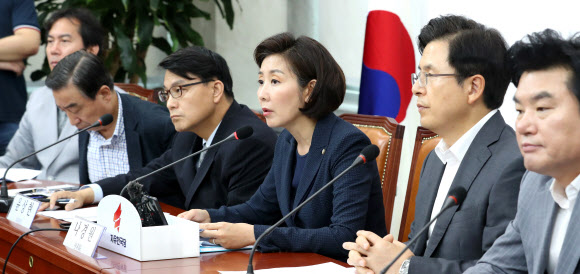 북핵외교안보특위에서 발언하는 나경원