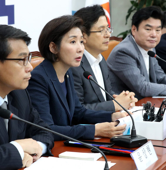 북핵외교안보특위에서 발언하는 나경원