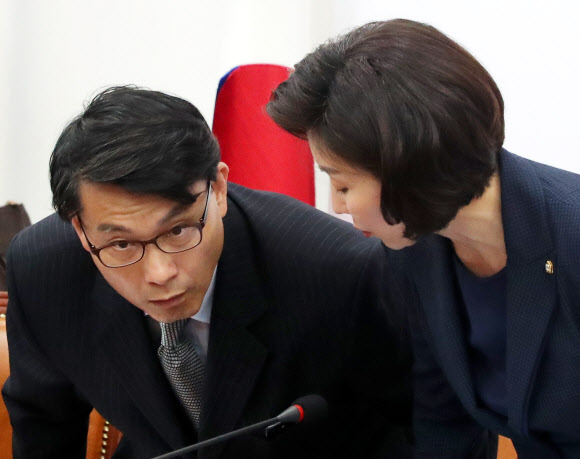 북핵외교안보특위에서 대화하는 나경원-윤상현