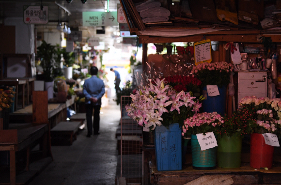 29일 서울 중구 남대문 꽃 도매상가가 여름 휴가로 인해 불이 꺼져 있다. 남대문 꽃 도매상가는 이날부터 8월 1일까지, 대도 꽃 종합상가는 8월 5일부터 8일까지 여름 휴가를 갖는다. 2019.7.29  오장환 기자 5zzang@seoul.co.kr