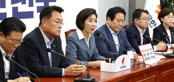 북한 미사일 발사관련 발언하는 나경원