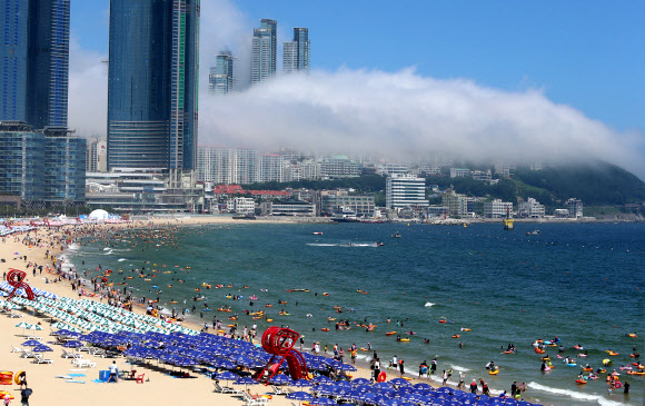 해운대 해무 비경