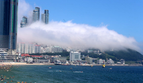 달맞이 언덕 뒤덮은 해무