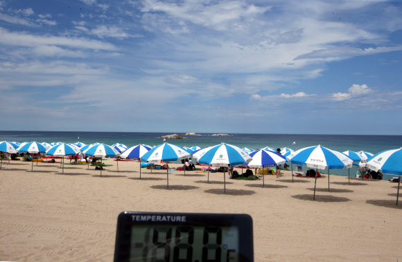 너무 뜨겁다…한산한 동해안 해수욕장