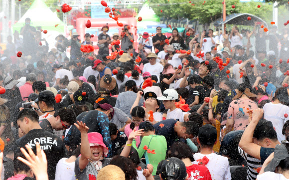 2019 화천토마토축제