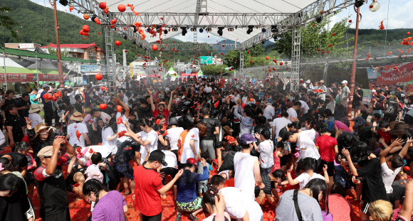 2019 화천토마토축제