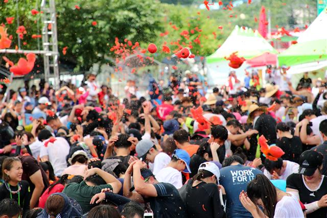폭염특보가 이어진 3일 강원 화천군 사내면 문화마을 일대에서 열린 ‘2019화천 토마토축제’에서 관광객들이 토마토를 하늘높이 던지며 즐거운 시간을 보내고 있다. 2019.8.3 뉴스1