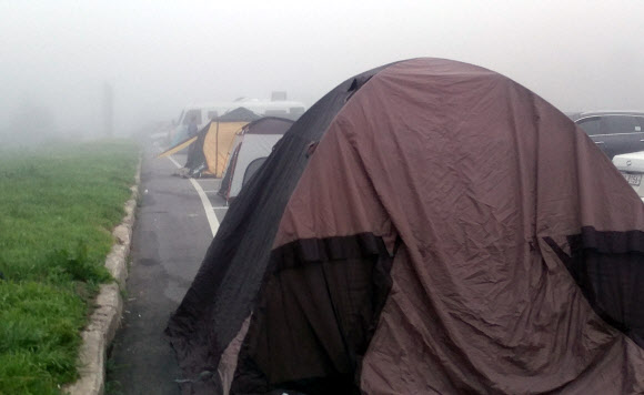숨 막히는 폭염…대관령 정상으로 탈출한 피서객