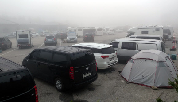 열대야 모르는 대관령 정상으로 탈출한 피서객