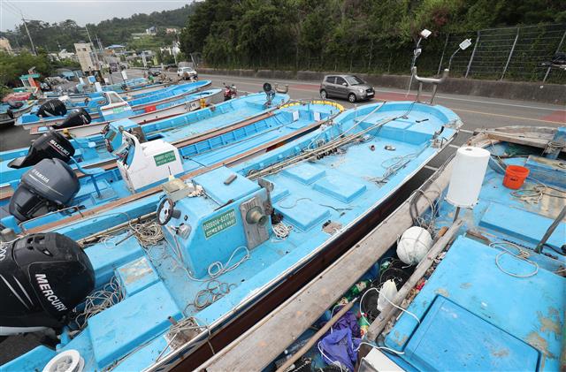 제8호 태풍 프란시스코(FRANCISCO)가 북상중인 6일 오전 울산시 울주군 나사항 어선들이 태풍을 피하기 위해 주변 도로변으로 대피해 있다. 2019.8.6 뉴스1