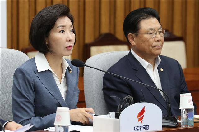 발언하는 나경원 원내대표