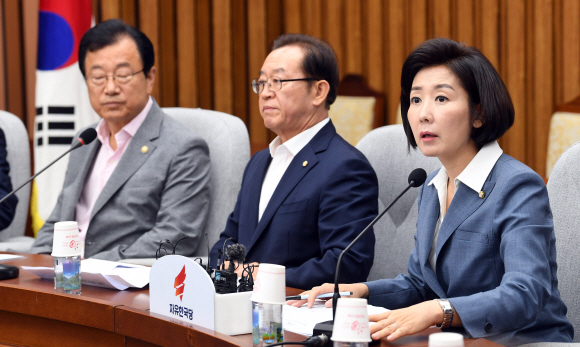 6일 서울 여의도 국호에서 열린 자유한국당 원내대책회의에 나경원 원내대표가 모두발언을 하고 있다. 2019. 8. 6 정연호 기자 tpgod@seoul.co.kr