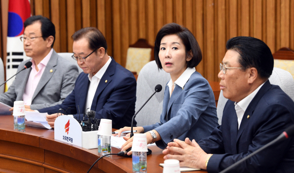 6일 서울 여의도 국호에서 열린 자유한국당 원내대책회의에 나경원 원내대표가 모두발언을 하고 있다. 2019. 8. 6 정연호 기자 tpgod@seoul.co.kr
