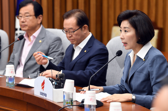 6일 서울 여의도 국호에서 열린 자유한국당 원내대책회의에 나경원 원내대표가 모두발언을 하고 있다. 2019. 8. 6 정연호 기자 tpgod@seoul.co.kr