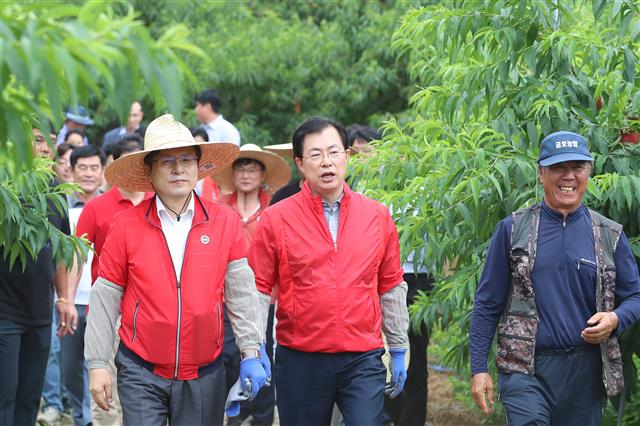 황교안 대표 ‘다시 찾은 영천 복숭아 농가’