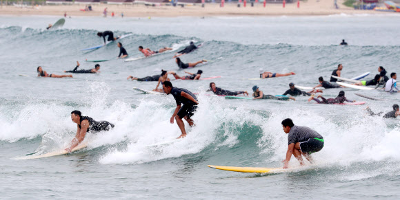 파도 즐기며 더위 탈출