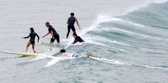 파도 즐기는 서퍼들
