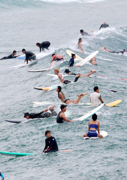 서퍼 가득한 죽도해변