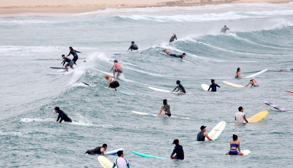서퍼 가득한 죽도해변