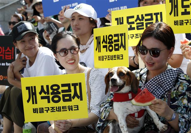 동물유관단체협의회 회원들이 말복인 11일 오후 서울 종로구 세종문화회관 계단에서 열린 ‘동물임의도살금지법 제정 촉구 국민대집회’에서 개고기 대신 수박을 먹는 퍼포먼스를 하고 있다. 참가자들은 국회를 향해 동물 불법도살 금지법 제정, 폐기물관리법 개정안 통과로 동물 음식물 쓰레기 급여 원천 차단, 축산법 개정안을 통과해 개를 가축에서 제외할 것을 요구했다. 2019.8.11 뉴스1