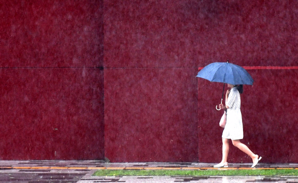 비가 내린 12일 시민들이 우산을 쓴채 출근길을 재촉하고 있다. 2019.8.12 박지환기자 popocar@seoul.co.kr