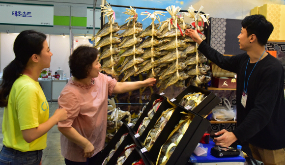 14일 서울 삼성동 코엑스에서 열린 ‘2019년 한가위 명절선물전 & 소금박람회’ 에서 관람객들이 전시장을 둘러보고 있다. 2010년부터 매년 개최되는 이번행사는 전국의 350여 업체들이 참여해 3000여 가지의 명절선물들이 전시된다. 2019.08.14.   이종원 선임기자 jongwon@seoul.co.kr