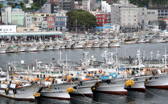 광복절인 15일 오전 10호 태풍 ‘크로사’의 접근으로 경북 울릉군 울릉읍 저동항에 어선들이 피항해 있다. 기상청은 크로사의 영향으로 이날부터 16일 새벽까지 울릉도?독도 지역에 100~200mm의 많은 비와 평균풍속 초속 14~18m, 최대순간풍속 초속 30m 내외의 매우 강한 바람이 불 것으로 내다봤다. 2019.8.15 연합뉴스