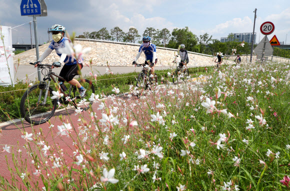 무더위 가고 가을이 오는 풍경
