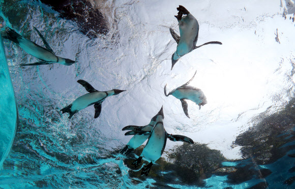 아직 뜨거운 태양